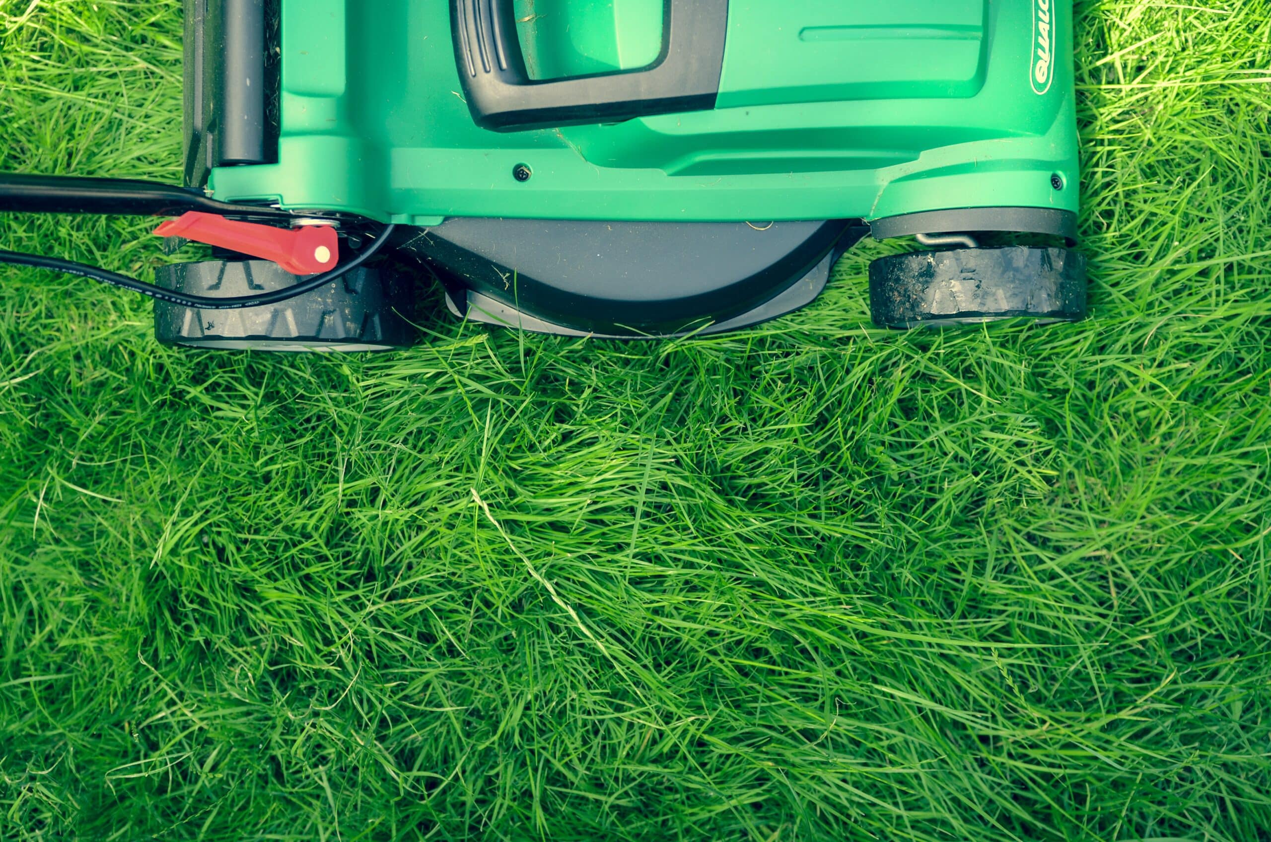 Electric Takeover States Consider Banning GasPowered Lawn Mowers